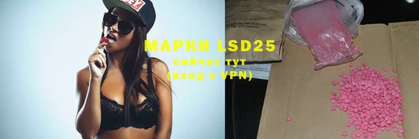 ГАЛЛЮЦИНОГЕННЫЕ ГРИБЫ Балабаново