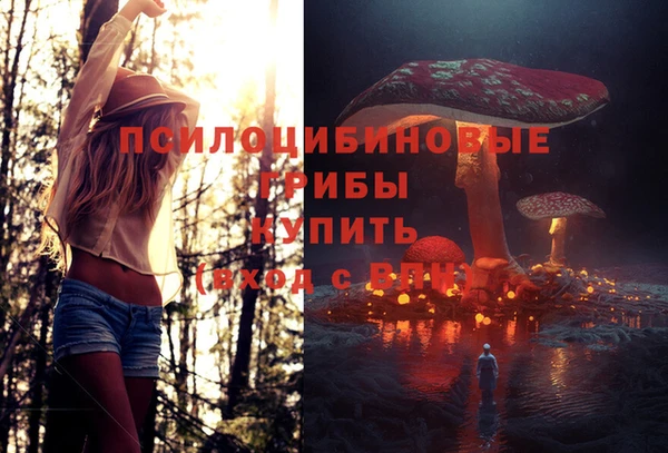 ГАЛЛЮЦИНОГЕННЫЕ ГРИБЫ Балабаново